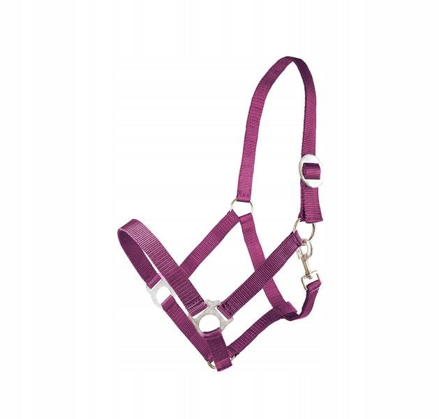 Kantar dla konia BASIS Fenix roz. Pony fioletowy - Cavalo